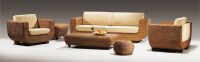 WATER HYACINTH SOFA SET WASF-001