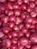 Fresh Red Onions