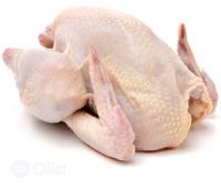ISO Wholesales of Thailand Halal Frozen Whole Chicken