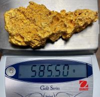 raw gold/gold nugget