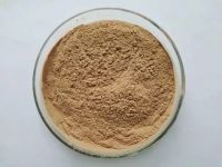 Andrographis Extract