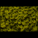 Mung Beans Organic 500gram