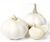 Fresh white  Garlic