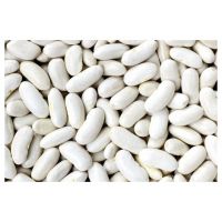 White Kidney Beans Organic