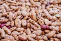       Light Specked Kidney beans sugar beans pinto beans for sale 