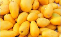 Sindhri Mangoes