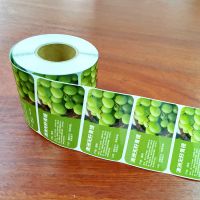 Color print custom designed adhesive labels and stickers in sheets or rolls