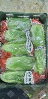 Wholesale fresh potato Iranian supplier Romaine lettuce