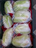 Wholesale fresh potato Iranian supplier lettuce