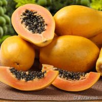 https://fr.tradekey.com/product_view/Fresh-Papaya-From-Brazil-9467505.html