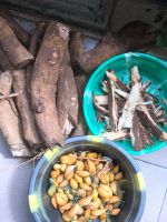 IBOGAINE HCL,IBOGAINE ROOT BARKS AND SEEDS FOR SALE.