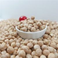 White Kabuli Dried Chickpeas Factory Price