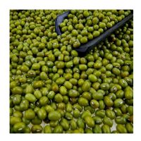 Green Mung Beans / Vigna Mung Beans Best Price For Sale Top Quality 