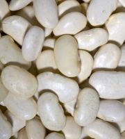 Dried Lima Beans For Sale 