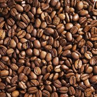 Coffee Beans Robusta Arabica Coffee high quality green coffee beans 