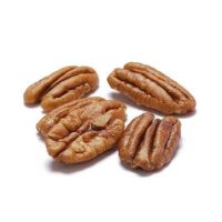 South Africa High quality pecan nuts for sale in shell pecan nuts price