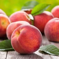 Export fresh peach with high quality 