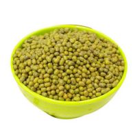 Top Quality Green Mung Beans / Green Gram /Moong Dal / Vigna Beans for export 
