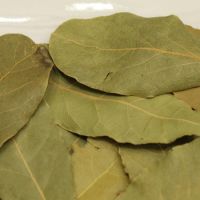 Quality Natural Spices Bay Leaf 