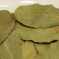 High Quality Natural Spices Bay Leaf 