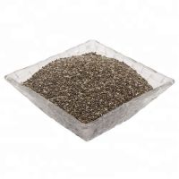 Good Quality Bulk Organic and Natural Chia Seeds for Sale 