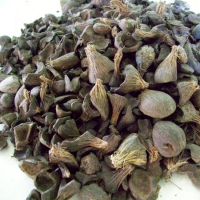 Hot Sale Palm Kernel and Palm Kernel Shell at Good Prices 