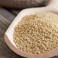 High Quality Amaranth seed 