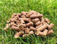 Biomass wood pellets for heating system