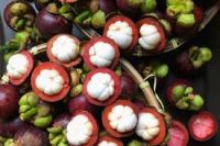 Mangosteen Fruits