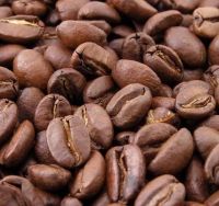 Roasted Arabica Coffee beans