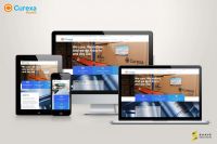 Website Design and Development