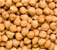 Chickpeas Dried white chickpeas 9mm Kabuil chickpeas