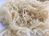 Wholesales Irish Sea Moss / Eucheuma Cottonii 