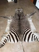 Zebra Skin