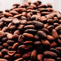 Healthy Cocoa beans