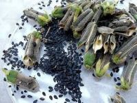 Black Sesame seeds