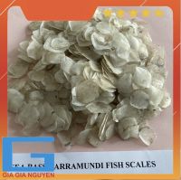 DRIED FISH SCALES FOR EXTRACT TILAPIA FISH SCALES
