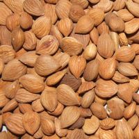 Cashew Nut  / Almond Nuts