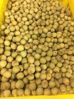 Vietnam fresh Longan