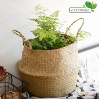 Natural Round Seagrass Belly Basket with Handles, Eco friendly Woven Storage Basket