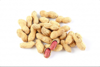 Excellent Quality Healthy Peanuts | Groundnuts