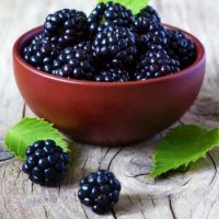 Dried Blackberry Fruit 