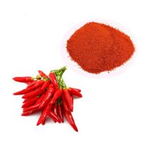 Fresh Green Chilli Pepper / Red Fresh Chilli Pepper Chilli Pepper Paprika Red Chili Powders 