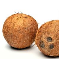 Matured Fresh Brown Semi Husked Coconuts