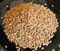 Fenugreek Seeds 