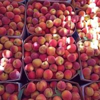 Fresh Peaches for sale 