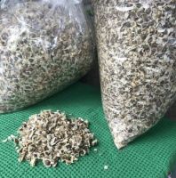 Moringa Seed and Moringa Leaf Powder Available Year Round 