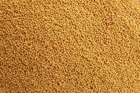 mustard  seeds