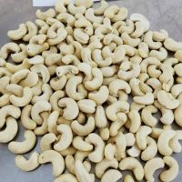 Wholesale Cashew Nuts | Cashew Kernels | W240, 320, 450