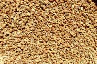 Ajwain Seeds